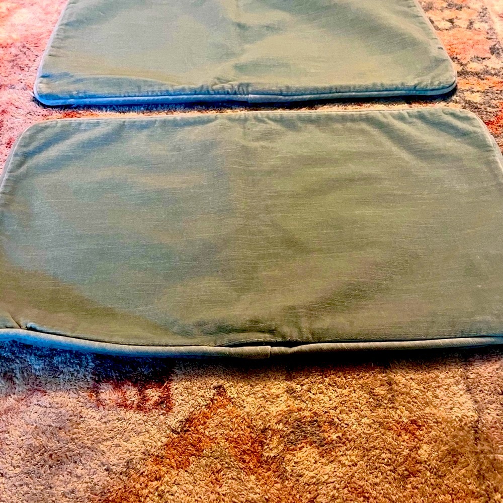 Velvet Cushion Cover-purchased from restoration hardware